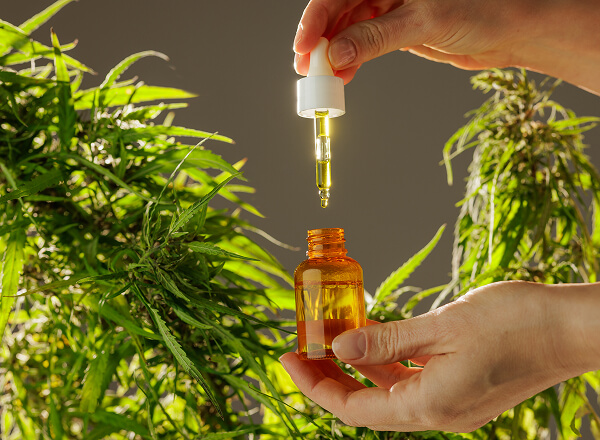 A person holds a dropper above a small amber bottle with cannabis plants in the background.
